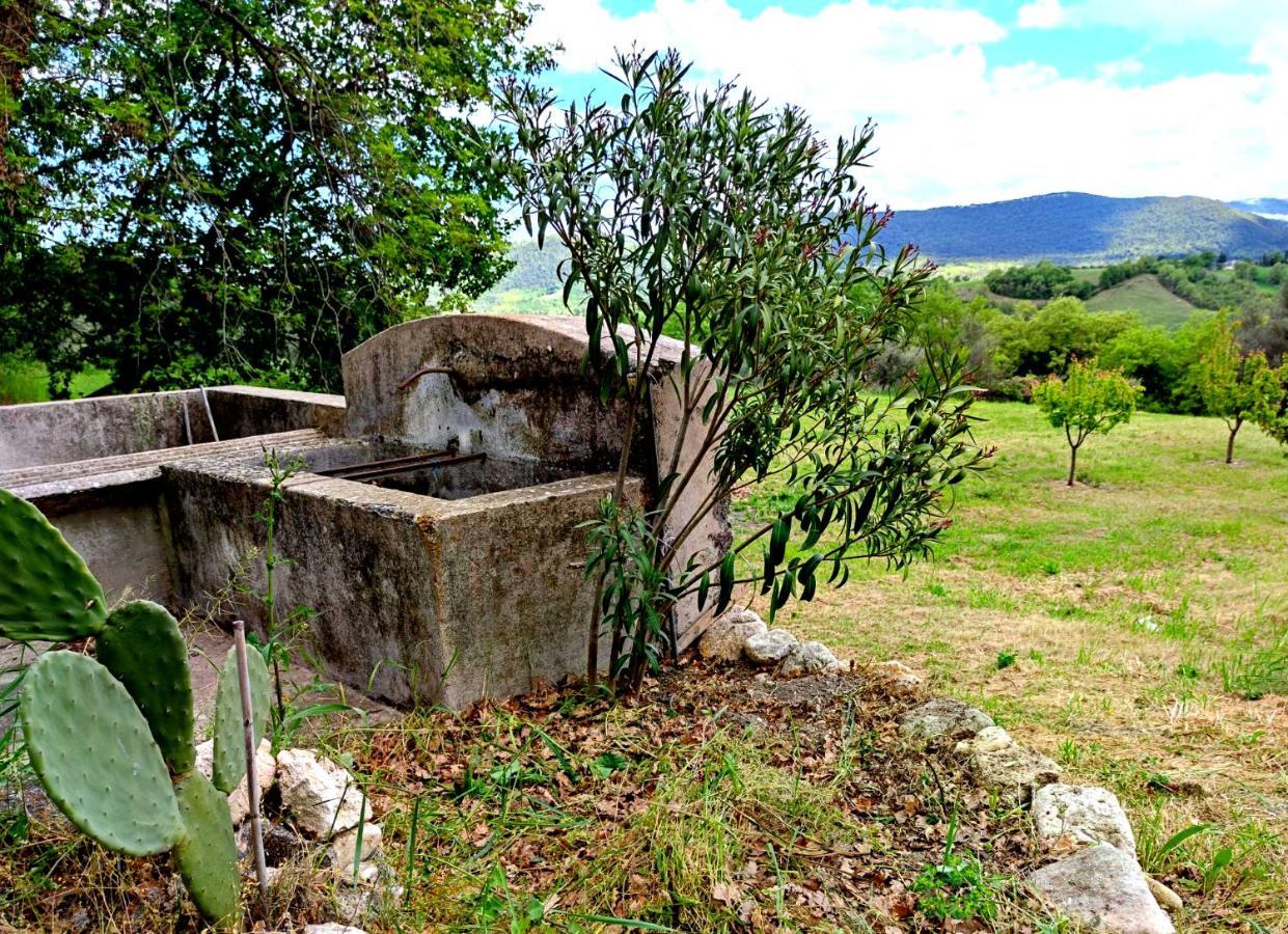 Ai Limiti • 67 • StoneHouse Palombaro Exterior foto